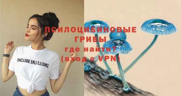 винт Елабуга