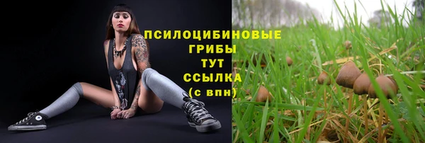 экстази Ельня